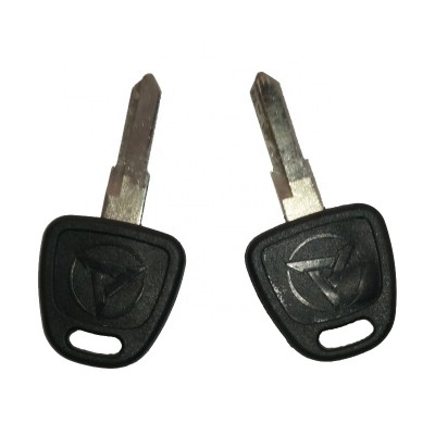 Dymolding customize high quality promotional dy134 car key blank with plastic head