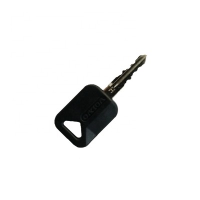 Dymolding customize good quality dy137 car keys with plastic heads